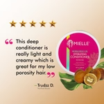 Mielle Mongongo Oil Protein-Free Hydrating Conditioner 240ml