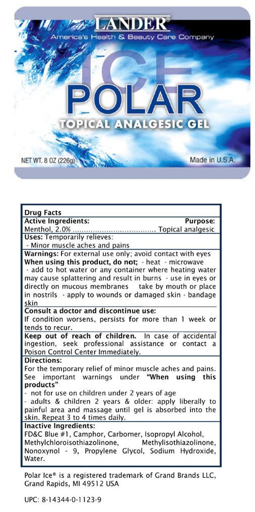 Lander Polar Ice Analgesic Gel 8oz