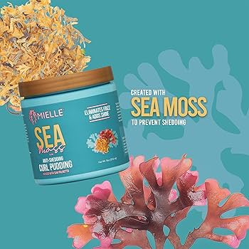 Mielle Sea Moss Anti-Shedding Hair Pudding 227ml