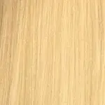 X-Pression Ultra Braid #24