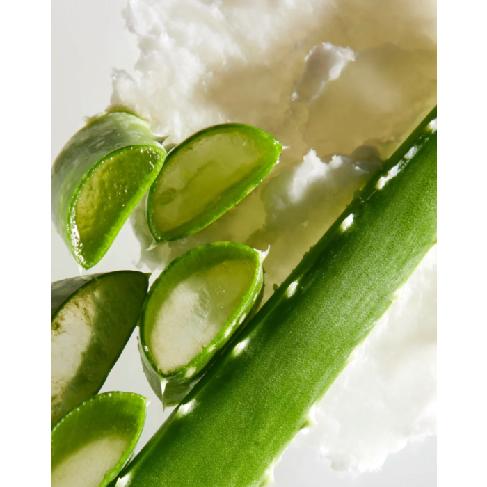 Shea Moisture Aloë Butter Scalp Moisture Shampoo 13oz