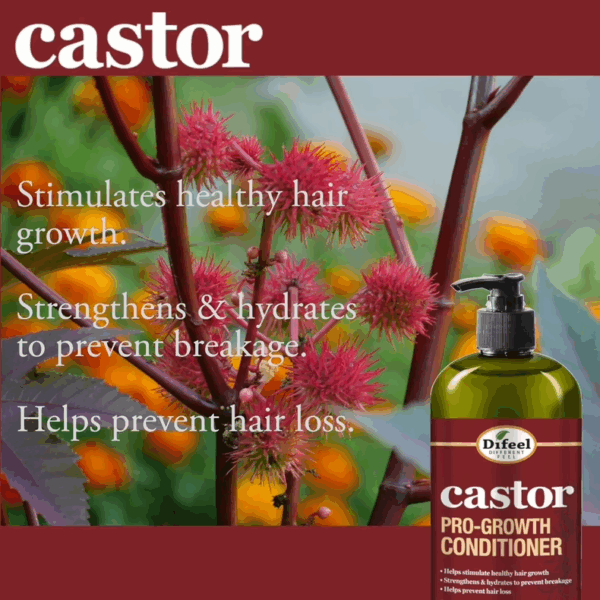 Difeel Castor Pro-Growth Conditioner 354ml / 12oz