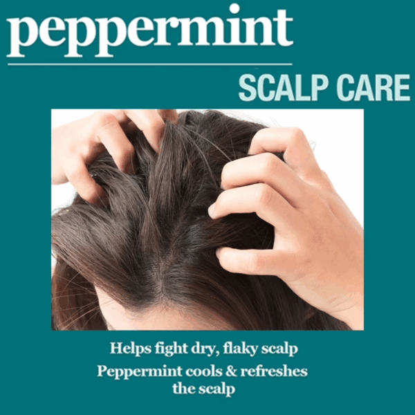Difeel Peppermint Scalp Care Conditioner 354ml / 12oz