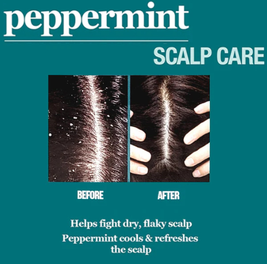 Difeel Peppermint Scalp Care Mask 340ml / 12oz