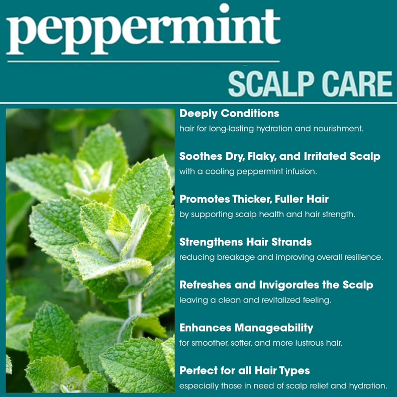 Difeel Peppermint Scalp Care Conditioner 354ml / 12oz